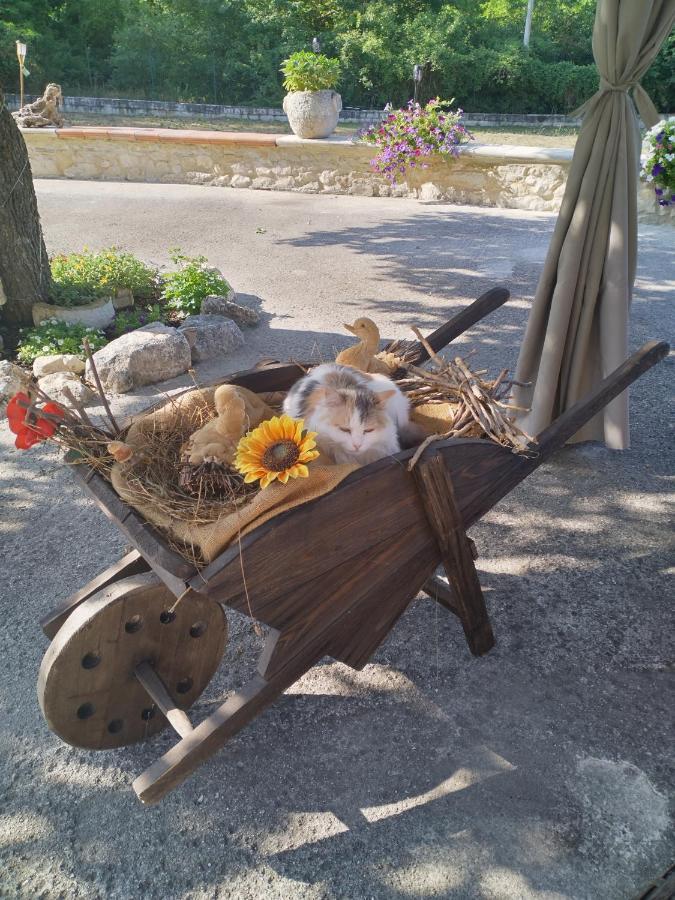 "Il Miglio" Country House Pettorano sul Gizio エクステリア 写真